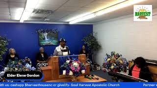 The Soul Harvest Apostolic Church [upl. by Lleirbag249]