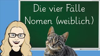 Vier Fälle weibliche Nomen Deklination2 Deutsch Grammatik feminine Nomen Singular Plural [upl. by Publus]