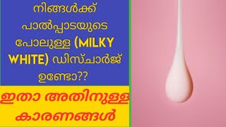 All You Want to Know about Milky White Discharge Malayalam [upl. by Kovacev]