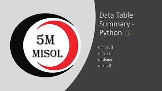 Data Summary Python  head tail shape amp info [upl. by Irrep]