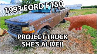 1993 Ford F150 PROJECT Truck Is ALIVE [upl. by Samalla935]