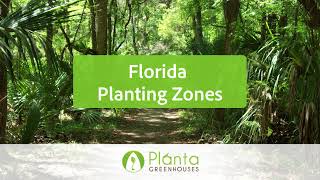 Florida Planting Zones – Planta Greenhouses [upl. by Mott]