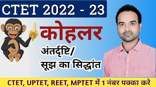 कोहलर का सूझ का सिद्धांत Insight Theory of Kohler अंतर्दृष्टि का सिद्धांत महत्वपूर्ण प्रश्नों के साथ [upl. by Selina]