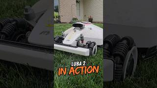 LUBA 2 AWD3000 H Robotic Lawn Mower IN ACTION 🔥 [upl. by Belldame301]