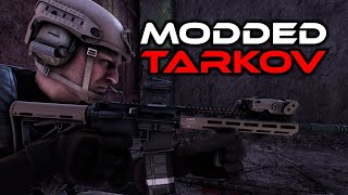 When You Modify The AI In Escape From Tarkov  SPTarkov SAIN Mod [upl. by Sucramel]