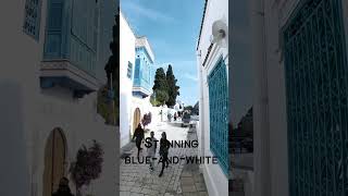 Stroll through the winding streets and take in the beauty of Sidi Bou Said architecture shorts [upl. by Skrap]