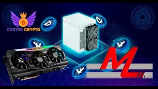 💎🚨COMO MINAR MUNDOTEAM  GPUS Y ASICS SCRYPT  HIVEOS Y SIMPLEMINING  NUEVA GEMA 🚨💎 [upl. by Lagiba]