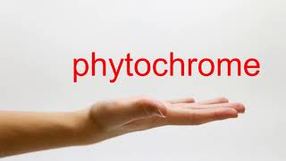 How to Pronounce phytochrome  American English [upl. by Eolande]