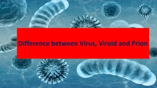 Difference between virus viroid and prions [upl. by Angelika826]