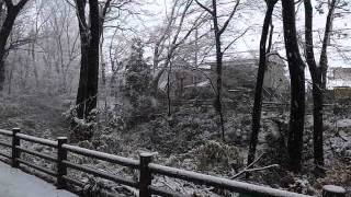 Tokyo Snow  January 14th 2013  130114 [upl. by Morry964]