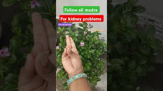 all major problems solve this mudras try this ytshorts mudra yogaasana yogamudrabenefits yoga [upl. by Adnoval746]