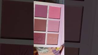 best blush palette ever Imagic😄blush makeup subscribe viral smritilifestyleandmakeover [upl. by Trautman]