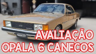 Avaliação Opala Comodoro 6 Cilindros  um esportivo de luxo fantástico de 1980 [upl. by Cirda]