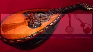 Virtual Mandolin VST Peter Gray American Ballad Syntheway Banjodoline VSTi [upl. by Leahcimdivad743]