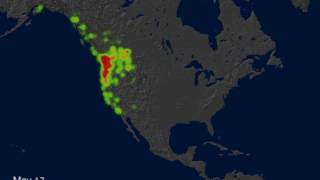 Migration Map of Rufous Hummingbird [upl. by Kcaj115]