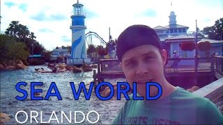 Mein Besuch im SEAWORLD ORLANDO [upl. by Ahsekyw]