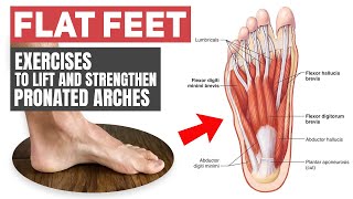 Flat Feet  Rehab Exercises for Pronated Arches [upl. by Ennaeirb]