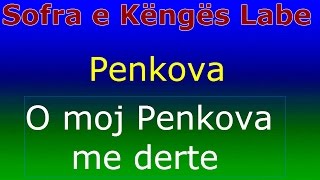 Grupi i Penkovës  O moj Penkova me derte  Sofra e Këngës Labe [upl. by Marie777]