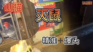 小吃街闹鼠灾，城市猎人用弹弓爆头，抗日神剧都不敢这么演！ [upl. by Esened334]