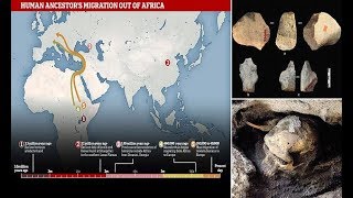 Ancient artefacts found in China suggest our ancestors left Africa 21 MILLION years ago [upl. by Fletcher793]