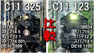 SL大樹 蒸気機関車 C11 123とC11 325 正面比較・スローモーション [upl. by Neerod]