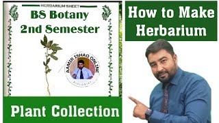 BS 2nd Semester Practicals  Plant Collection  Herbarium Sheet preparation [upl. by Odlanier]