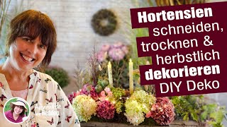 DIY Herstdekoration Hortensien schneiden dekorieren trocknen 2 Tischdeko Ideen selber machen [upl. by Aenel]