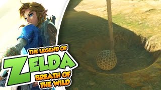 El Golf de los Goron  40  TLO Zelda Breath of the Wild en Español Switch [upl. by Ailalue757]