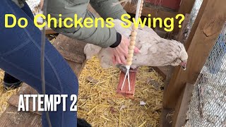 Installing a Chicken Swing [upl. by Eustis]