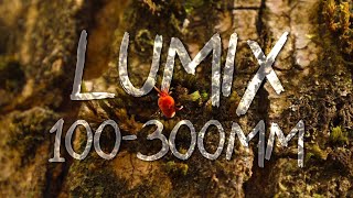 Test Lumix 100300mm amp FPV drone Cinecan4k [upl. by Idas454]