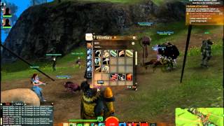 Guild Wars 2  Best Exp Grinding 1535 [upl. by Roley582]