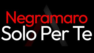 Negramaro  Solo Per Te ARK Karaoke [upl. by Trinia]