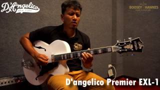 Preview DAngelico Premier Series Exl1 by Mr Don pengboon Track1 [upl. by Rybma]