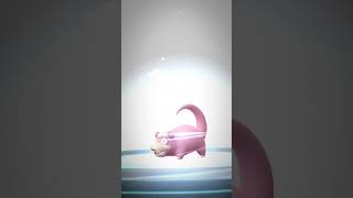 Pokemon Go  The Majestic Evolution Slowpoke to Slowking [upl. by Gnouhc]