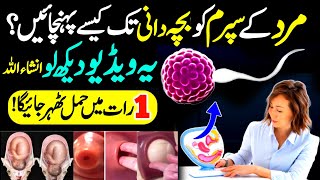 How To Get Pregnant Fast in Hindi  How To Send Sperm inside For Pregnancy How To Pregnant a Woman [upl. by Karissa]