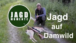 JagdMomente  Folge 3  Jagd auf Damwild und Reh im Frühsommer [upl. by Alexandros161]