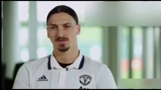 Zlatan Ibrahimovic Lions dont compare themselves with humans [upl. by Oynotna]