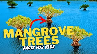 What are Mangrove Trees Facts For Kids [upl. by Novahs495]