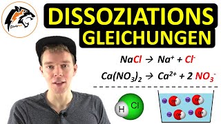 Dissoziationsgleichungen aufstellen  Säuren Basen amp Salze [upl. by Hintze]