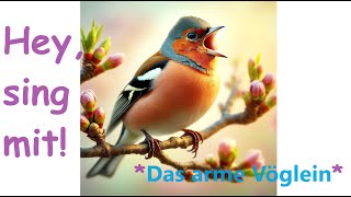 🎵🤍🌳🐦🏡🌞🌳👀quotDas arme Vögleinquot  Kinder u Volkslieder  Liedtext Notenlink ↓InfoBoxquot [upl. by Dniren]