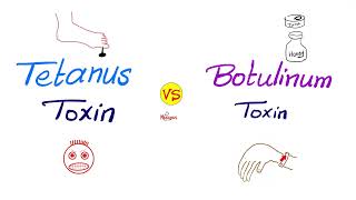 Tetanus Toxin vs Botulinum Toxin  Comparisons Series [upl. by Nyloj336]