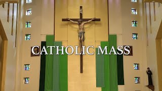 Roman Catholic Mass for October 27th 2024 Thirtieth Sunday in Ordinary Time [upl. by Radie]