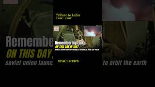 Dark Truth Behind Dog Laika Space Mission shorts dog space legacy [upl. by Eram899]