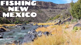 Gorgeous desert river filled with trophy trout  No one would expect this here [upl. by Nicolella]