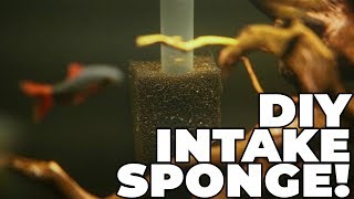 Intake Sponges Why You Need Them And How To Make Them [upl. by Helprin342]