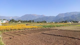 Corbett Village Choti Haldwani Kaladhungi Kotabagh amp Pawalgarh Weekend Ride [upl. by Akimrej]