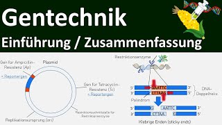 Gentechnik  Einführung  Zusammenfassung  Abitur Biologie Genetik Oberstufe  17 [upl. by Eniamrahs549]