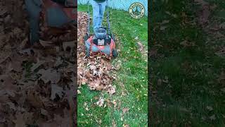 Mulching Leaves in the back yard [upl. by Ydarg]