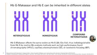 Compound Heterozygosity for Hemoglobin GMakassar – Video abstract 432849 [upl. by Virge]