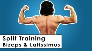 Bizeps amp Latissimus Split Trainingsplan für zu Hause  Kurzhantel Workout [upl. by Shaylyn917]